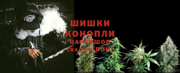 экстази Белокуриха