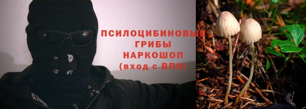 гашик Белоозёрский
