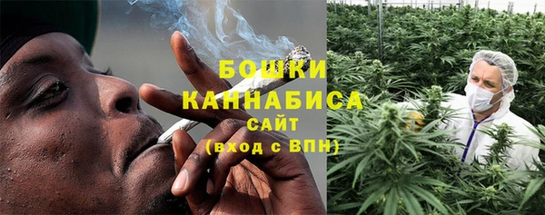 гашик Белоозёрский